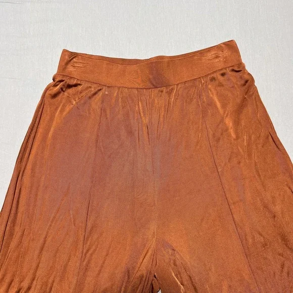Maeve by‎ Anthropologie Shiloh Wide Leg Palazzo Pants Womens XS Rust Orange - Picture 6 of 15
